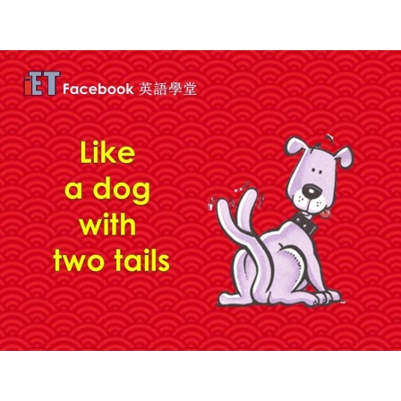 Facebook English_Week 45_16.02.18_Like a dog with two tails (Image)