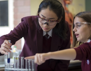 Webp.net-resizeimage (12)