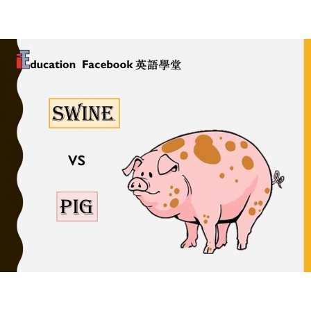 Facebook English_Week 89_21.12.18_Swine (Image)